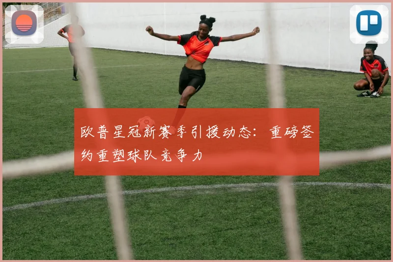 欧普星冠新赛季引援动态:重磅签约重塑球队竞争力